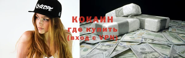 трава Белокуриха