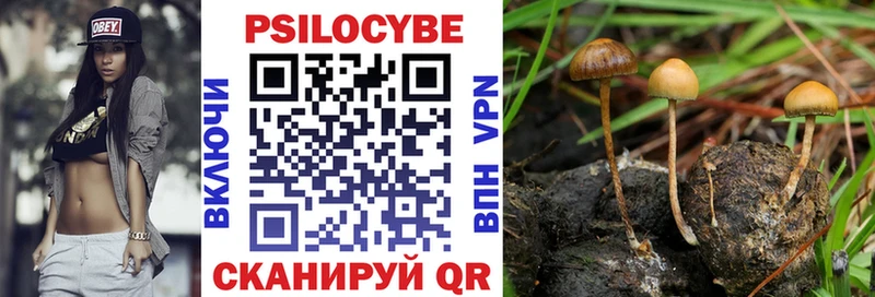 наркотики  Коммунар  Галлюциногенные грибы Cubensis 