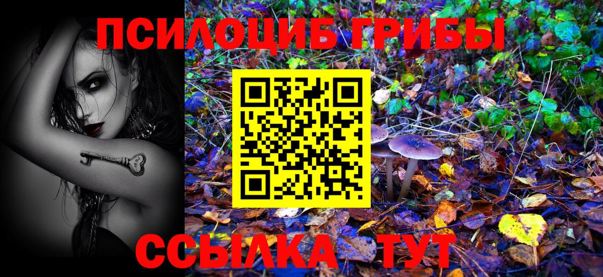 Галлюциногенные грибы GOLDEN TEACHER  Галлюциногенные грибы GOLDEN TEACHER  Коммунар  Вход с VPN 